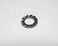 Arruela Dentada Externa M6 - Inox (Embalagem 20 Peças)