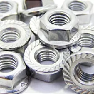 Porca Sextavada Flangeada com Serrilha M6 Inox 304 (Embalagem 20 peças)