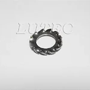 Arruela Dentada Externa M6 - Inox (Embalagem 20 Peças)