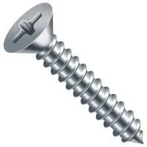 PARAFUSO AUTO ATARRAXANTE C/CHATA PH 2.9 X 9.5